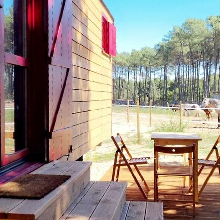 Roulottes Cocooning Au Coeur Des Landes Hotell Mées Exteriör bild