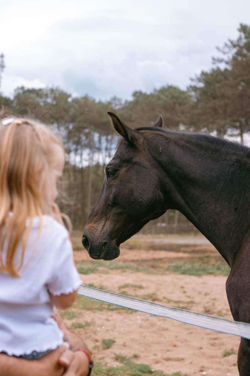 Roulottes Cocooning Au Coeur Des Landes Hotell Mées Exteriör bild