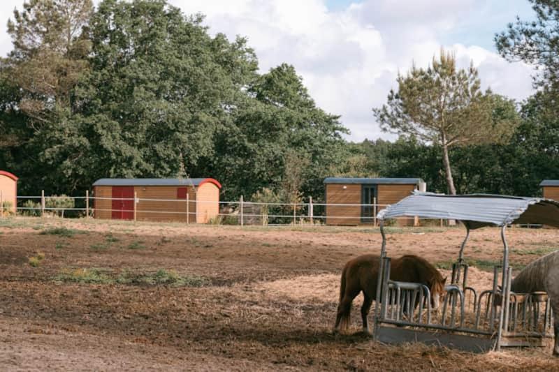 Roulottes Cocooning Au Coeur Des Landes Hotell Mées Exteriör bild